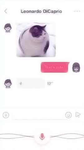 网站攻击工具软件程序维护界面